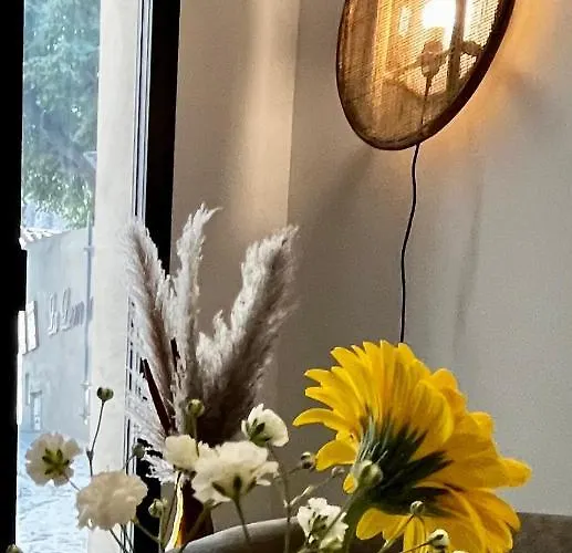 Le Donjon De Lily - Coeur De La Cite Medievale Apartament *